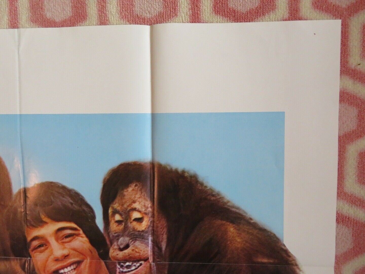 GOING APE US ONE SHEET POSTER TONY DANZA DANNY DEVITO 1981 Movie posters