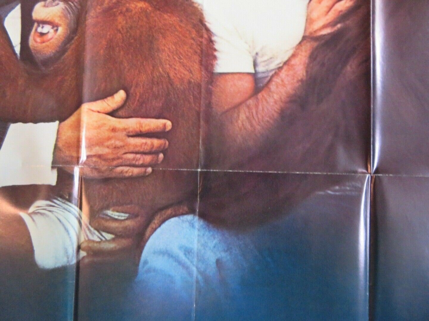 GOING APE US ONE SHEET POSTER TONY DANZA DANNY DEVITO 1981 Movie posters
