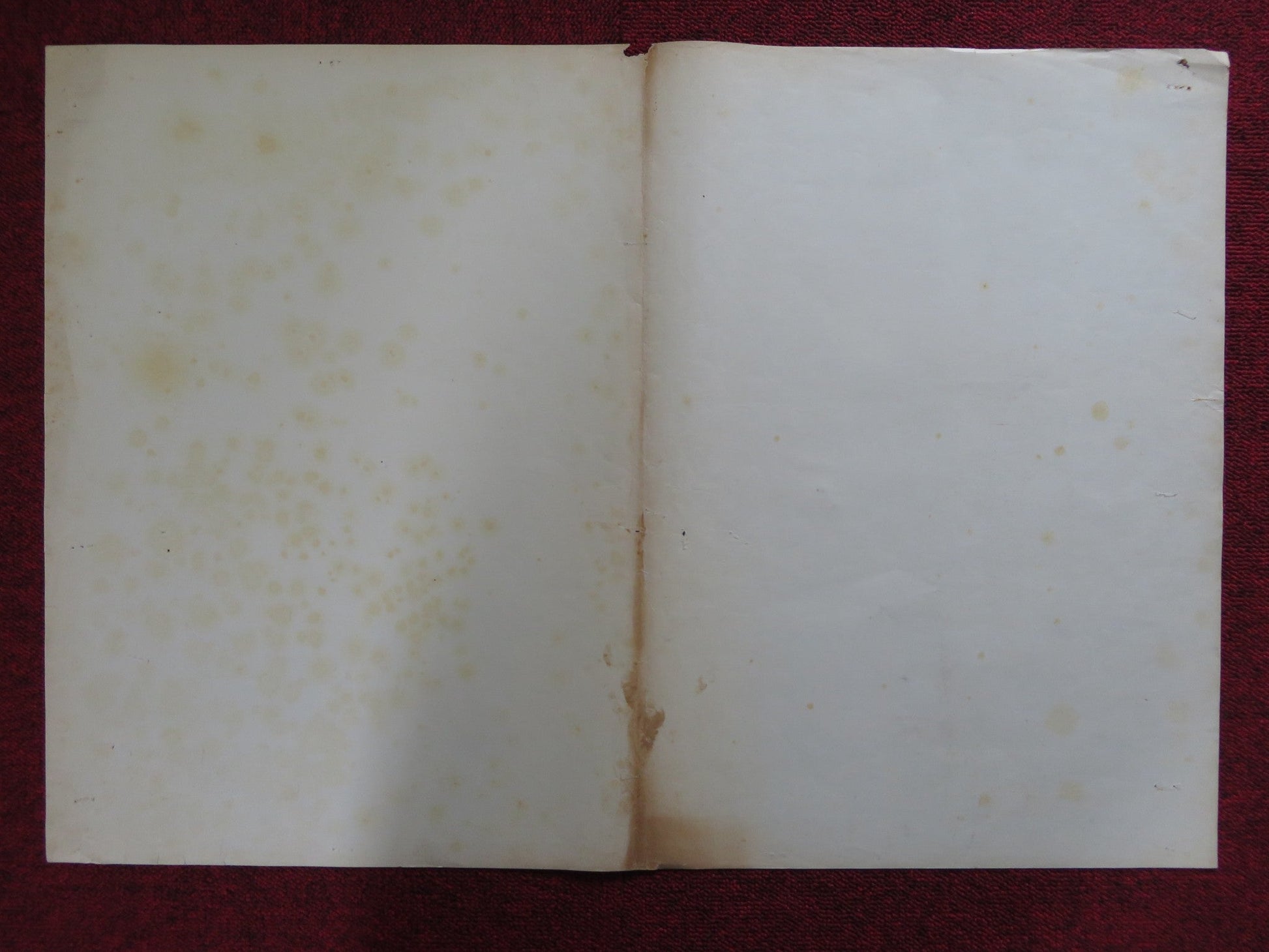 GOLDSNAKE ANONIMA KILLERS ITALIAN FOTOBUSTA POSTER STELIO CANDELLI 1966 Rendezvous Cinema Movie posters