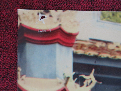 GOLDSNAKE ANONIMA KILLERS ITALIAN FOTOBUSTA POSTER STELIO CANDELLI 1966 Rendezvous Cinema Movie posters