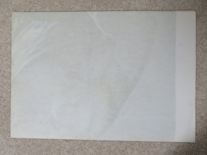 GOLIATH AND THE SINS OF BABYLON ITALIAN 2 FOGLIO POSTER MARK FOREST J.GRECI 1963 Rendezvous Cinema Movie posters