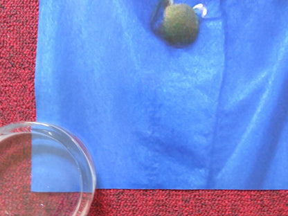 GOOD HAIR UK QUAD (30"x 40") ROLLED POSTER CHRIS ROCK MAYA ANGELOU 2009 Rendezvous Cinema Movie posters