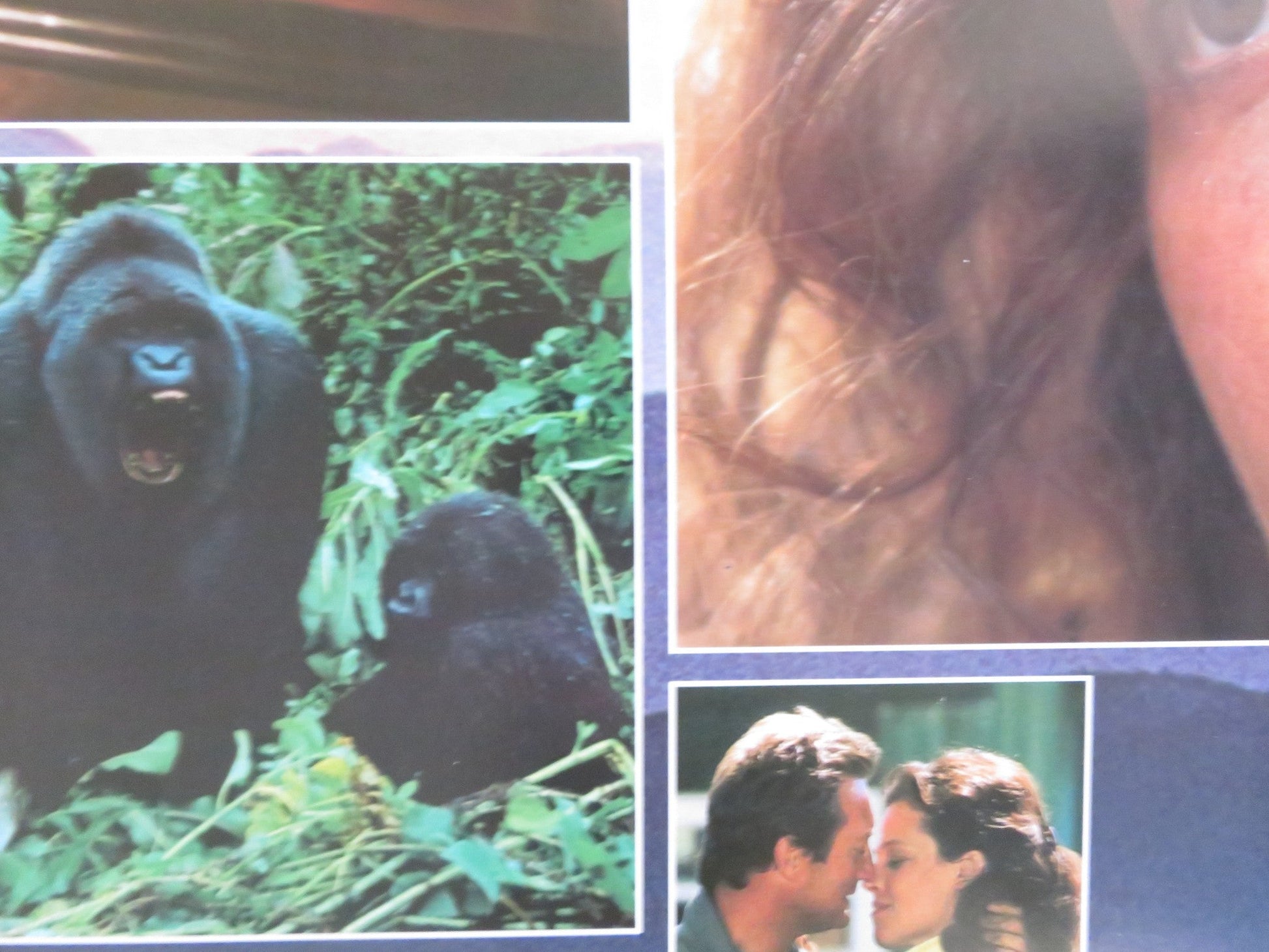 GORILLAS IN THE MIST US ONE SHEET ROLLED POSTER S. WEAVER BRYAN BROWN 1988 Rendezvous Cinema Movie posters