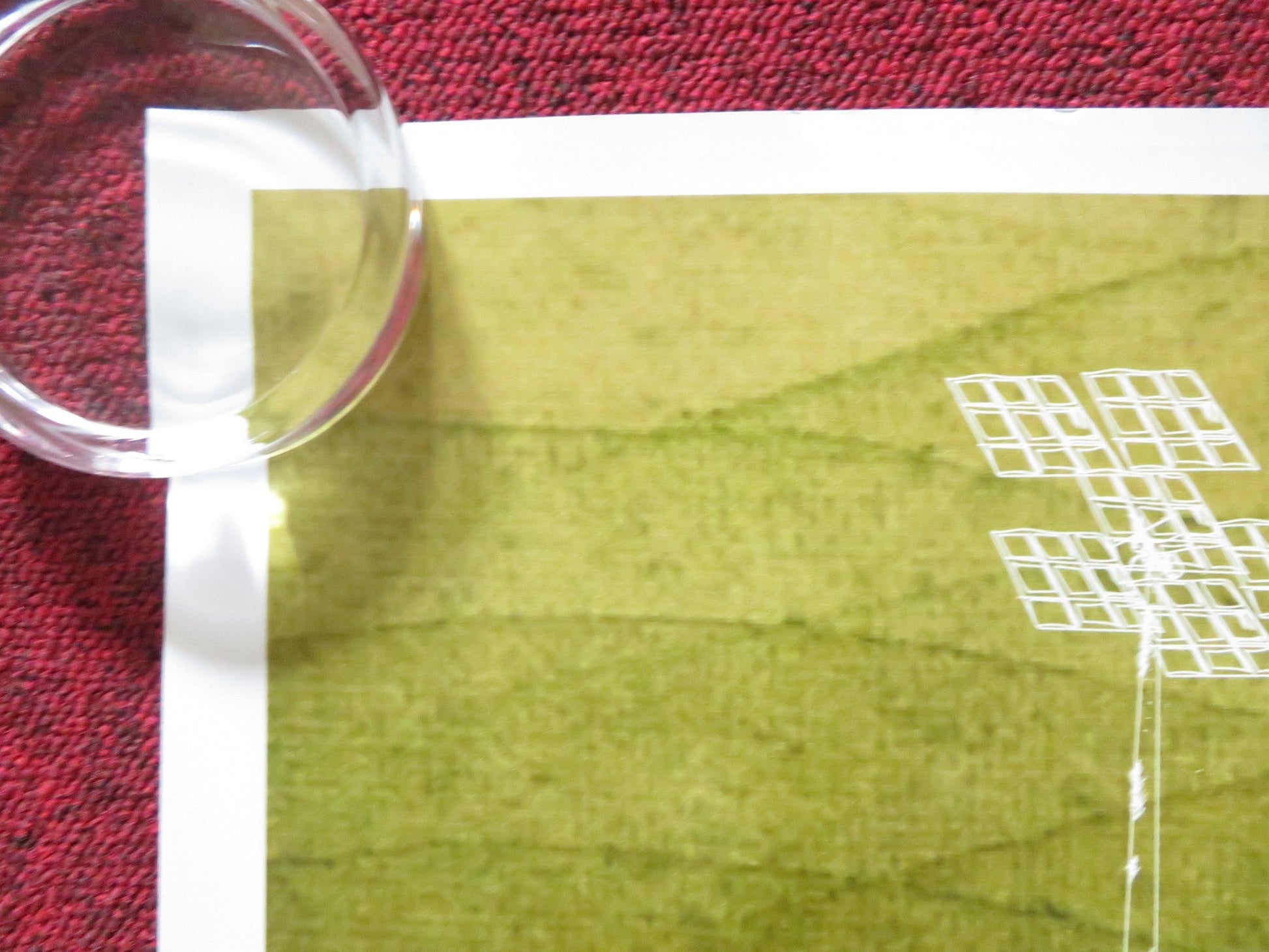 GREEN FILM FESTIVAL UK QUAD (30"x 40") ROLLED POSTER 2015 Rendezvous Cinema Movie posters