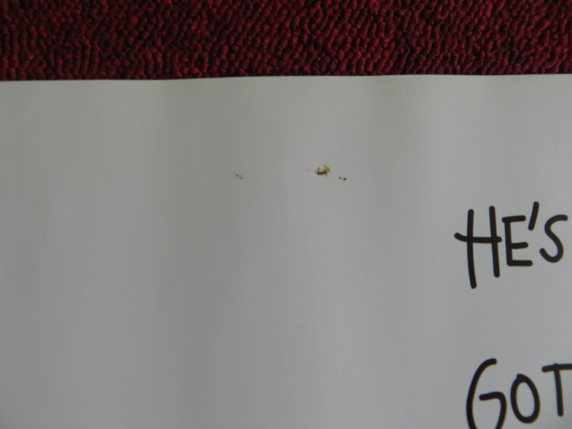 GREENBERG UK QUAD (30"x 40") ROLLED POSTER BEN STILLER GRETA GERWIG 2010 Rendezvous Cinema Movie posters