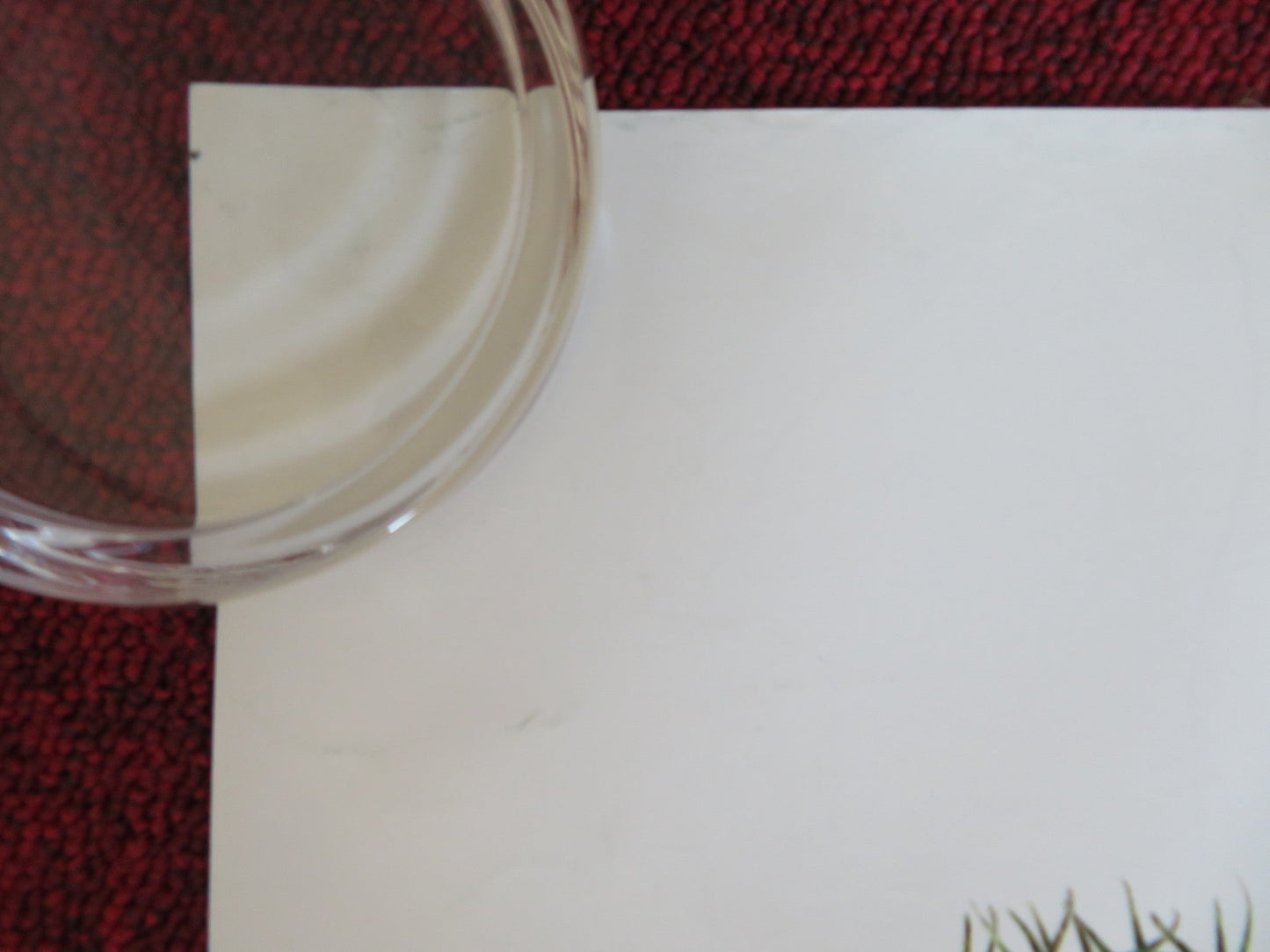 GROW YOUR OWN UK QUAD (30"x 40") ROLLED POSTER BENEDICT WONG EDDIE MARSAN 2007 Rendezvous Cinema Movie posters