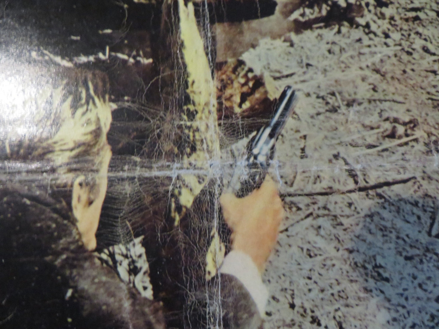 GUNFIGHT AT THE O.K CORRAL ITALIAN FOTOBUSTA POSTER BURT LANCASTER DOUGLAS 1957 Rendezvous Cinema Movie posters