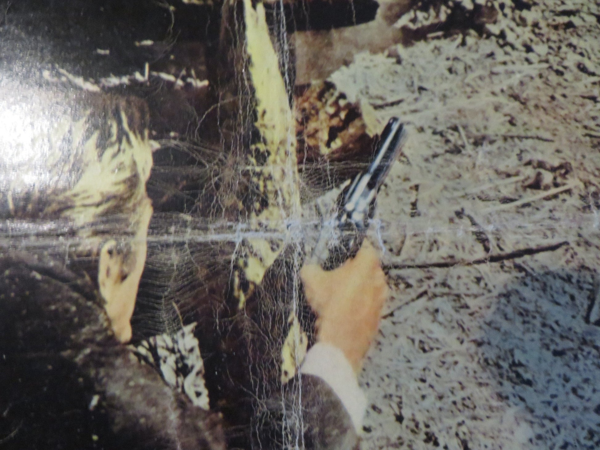 GUNFIGHT AT THE O.K CORRAL ITALIAN FOTOBUSTA POSTER BURT LANCASTER DOUGLAS 1957 Rendezvous Cinema Movie posters