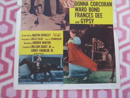 GYPSY COLT US INSERT (14"x 36") POSTER DONNA CORCORAN 1954 Rendezvous Cinema Movie posters