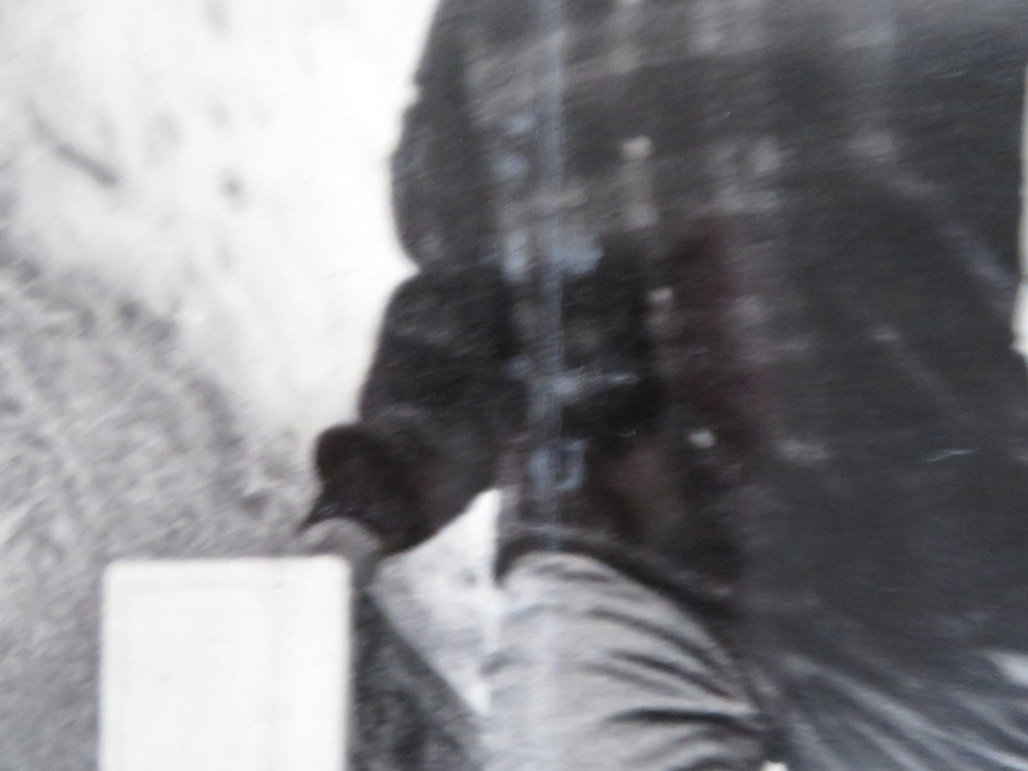 HAKUCHU NO BURAIKAN - B ITALIAN FOTOBUSTA POSTER SID TAYLOR LAVINE SHELTON 1961 Rendezvous Cinema Movie posters