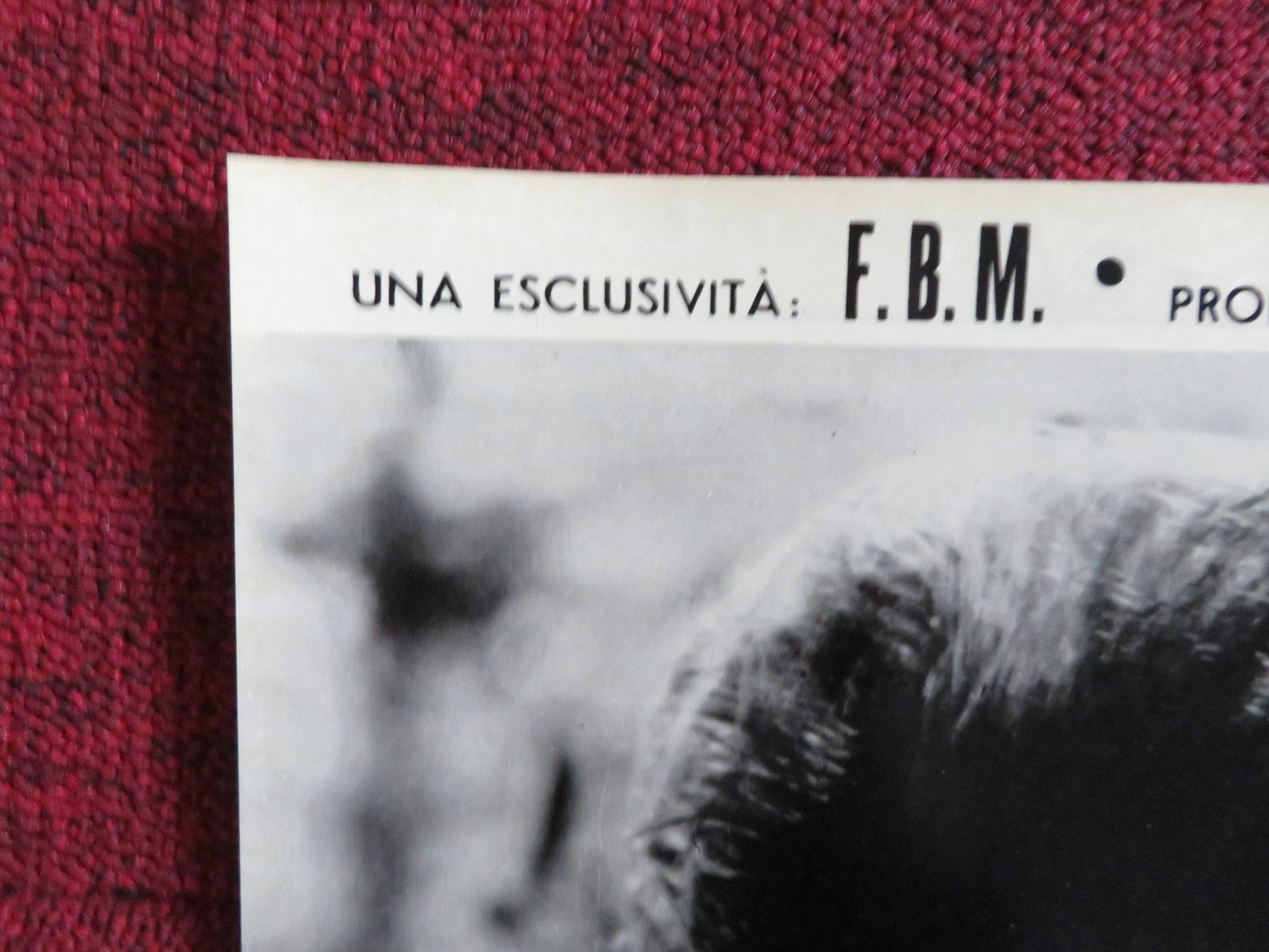 HAKUCHU NO BURAIKAN - B ITALIAN FOTOBUSTA POSTER SID TAYLOR LAVINE SHELTON 1961 Rendezvous Cinema Movie posters