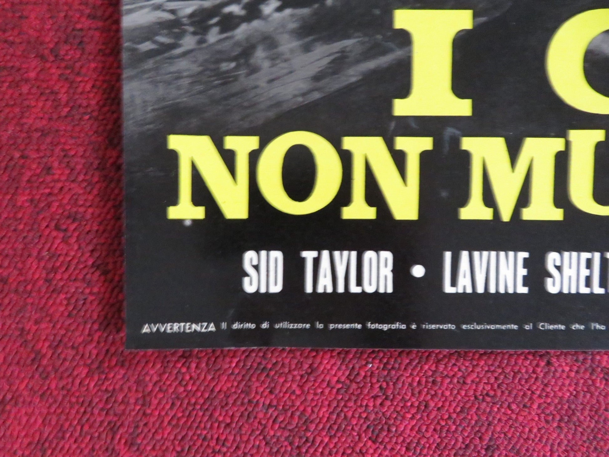 HAKUCHU NO BURAIKAN - D ITALIAN FOTOBUSTA POSTER SID TAYLOR LAVINE SHELTON 1961 Rendezvous Cinema Movie posters