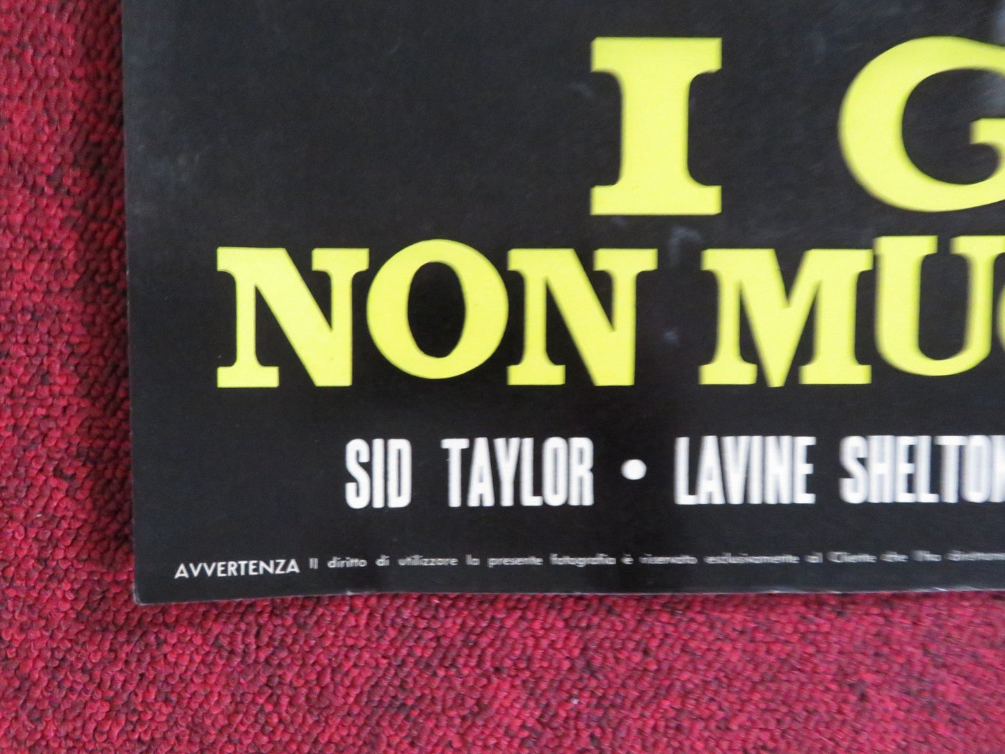 HAKUCHU NO BURAIKAN - E ITALIAN FOTOBUSTA POSTER SID TAYLOR LAVINE SHELTON 1961 Rendezvous Cinema Movie posters