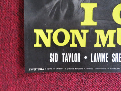 HAKUCHU NO BURAIKAN - F ITALIAN FOTOBUSTA POSTER SID TAYLOR LAVINE SHELTON 1961 Rendezvous Cinema Movie posters