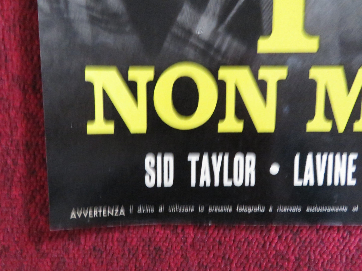 HAKUCHU NO BURAIKAN - G ITALIAN FOTOBUSTA POSTER SID TAYLOR LAVINE SHELTON 1961 Rendezvous Cinema Movie posters