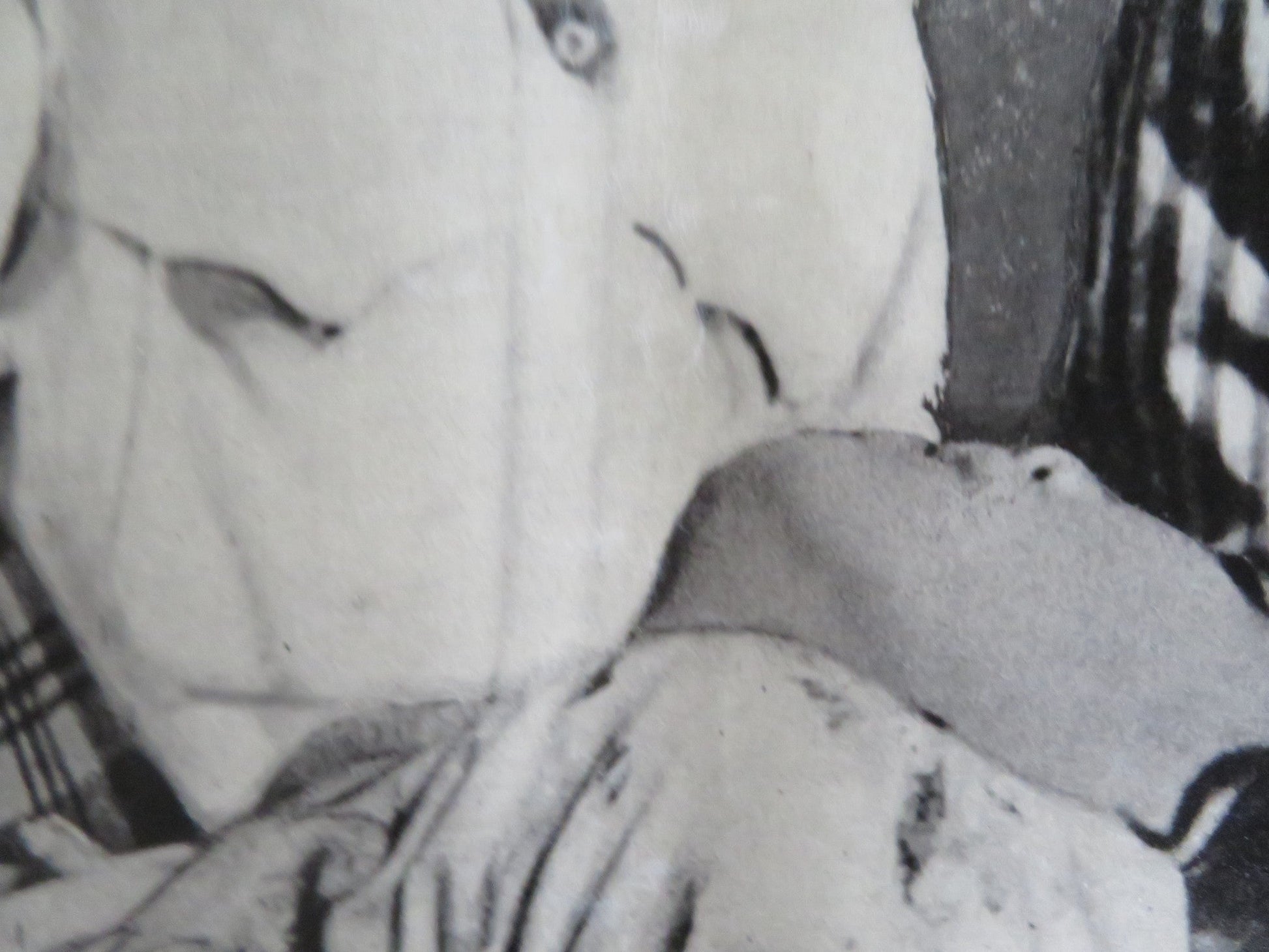 HAKUCHU NO BURAIKAN - G ITALIAN FOTOBUSTA POSTER SID TAYLOR LAVINE SHELTON 1961 Rendezvous Cinema Movie posters