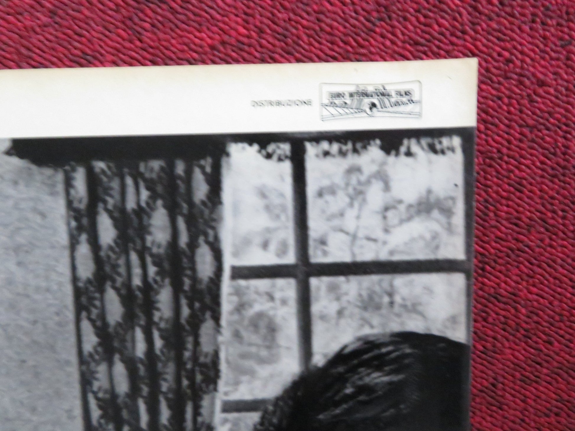 HAKUCHU NO BURAIKAN - I ITALIAN FOTOBUSTA POSTER SID TAYLOR LAVINE SHELTON 1961 Rendezvous Cinema Movie posters