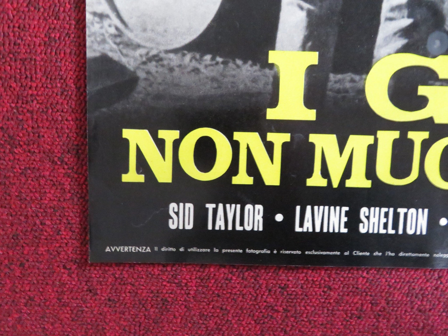 HAKUCHU NO BURAIKAN - J ITALIAN FOTOBUSTA POSTER SID TAYLOR LAVINE SHELTON 1961 Rendezvous Cinema Movie posters