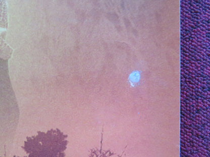 HALF OF A YELLOW SUN UK QUAD ROLLED POSTER THANDIWE NEWTON CHIWETEL EJIOFOR 2013 Rendezvous Cinema Movie posters