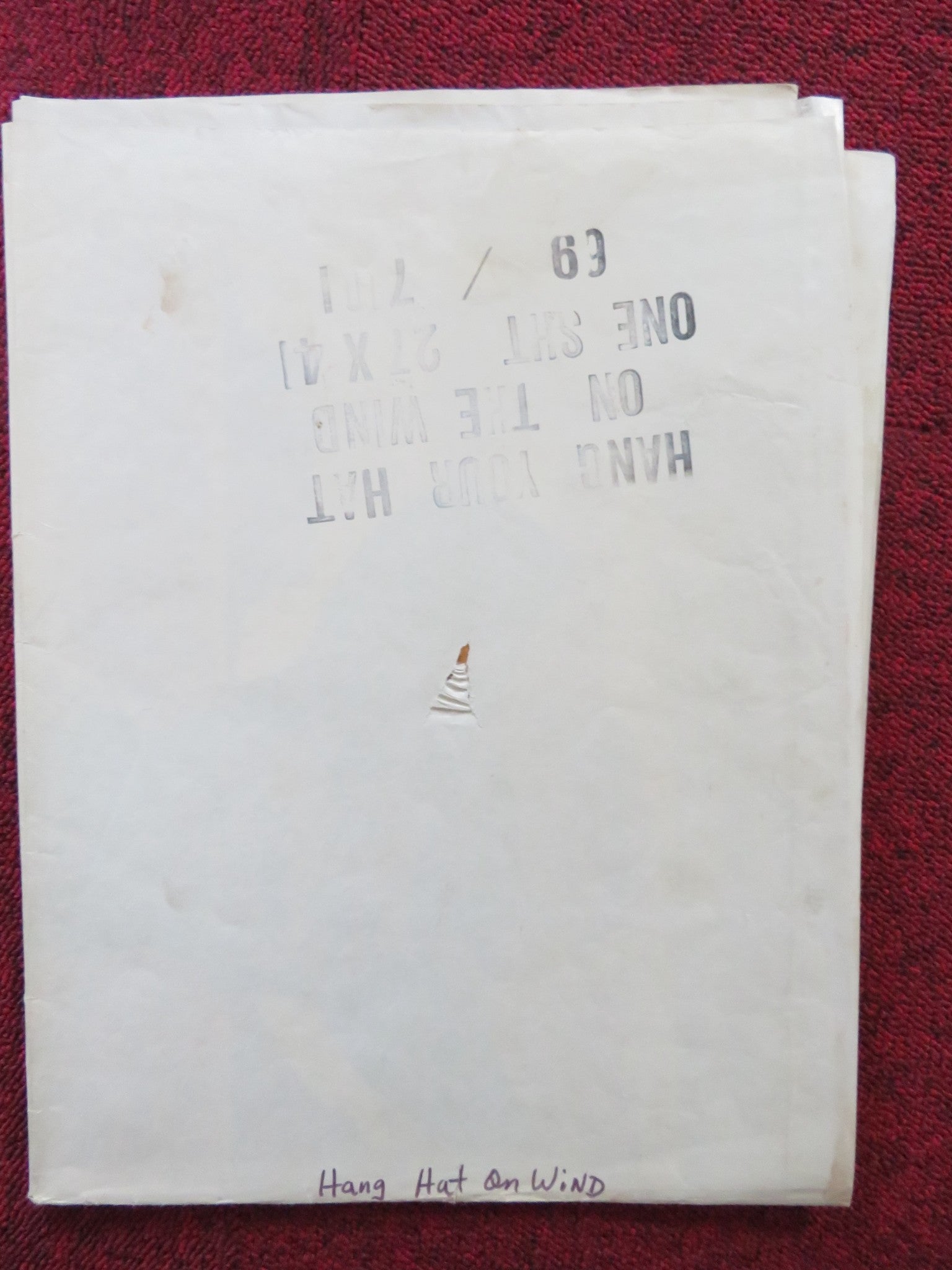 HANG YOUR HAT ON THE WIND FOLDED US ONE SHEET POSTER DISNEY RICK NATOLI 1969 Rendezvous Cinema Movie posters