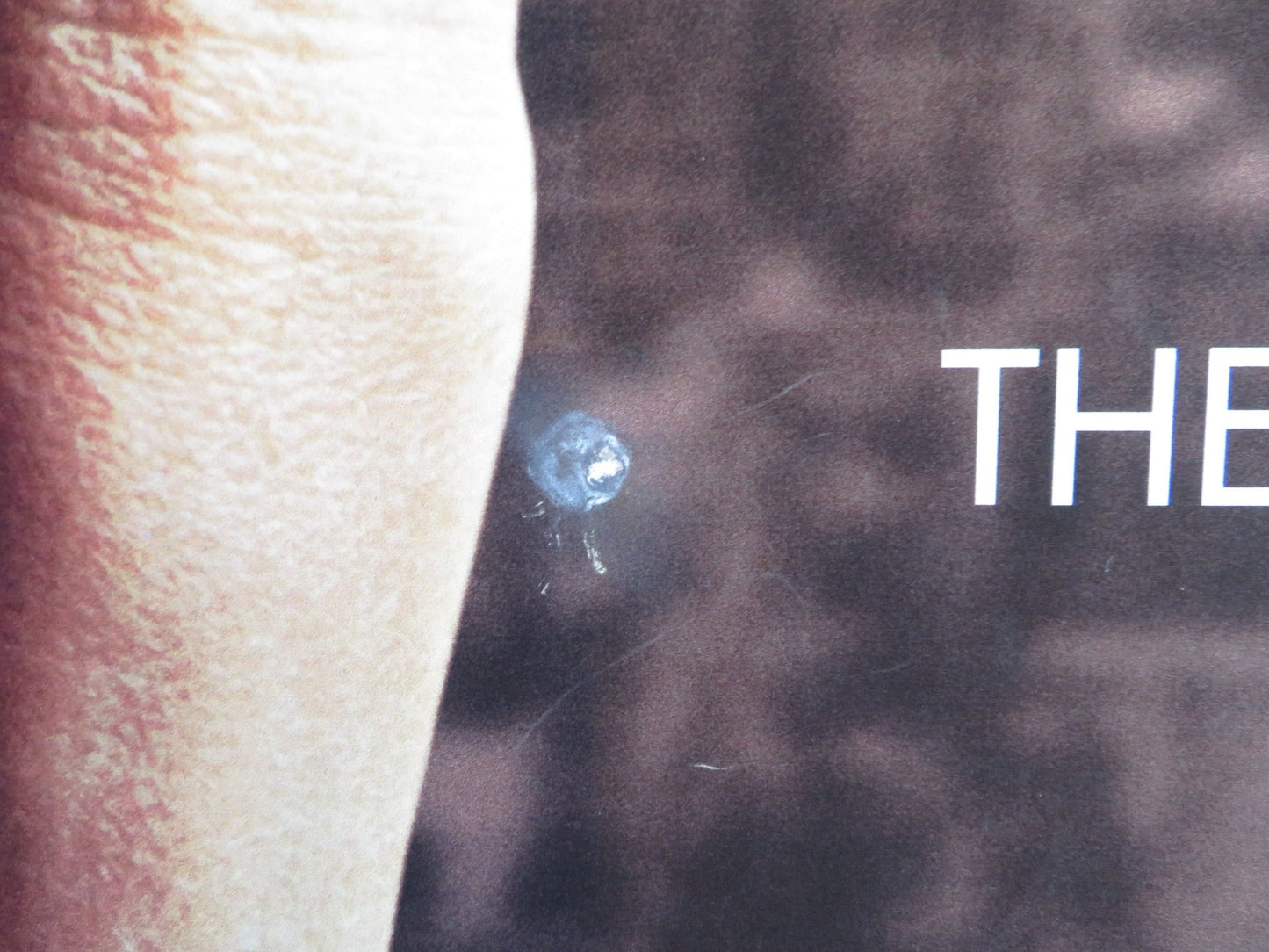 HANNAH ARENDT UK QUAD (30"x 40") ROLLED POSTER BARBARA SUKOWA JANET MCTEER 2012 Rendezvous Cinema Movie posters