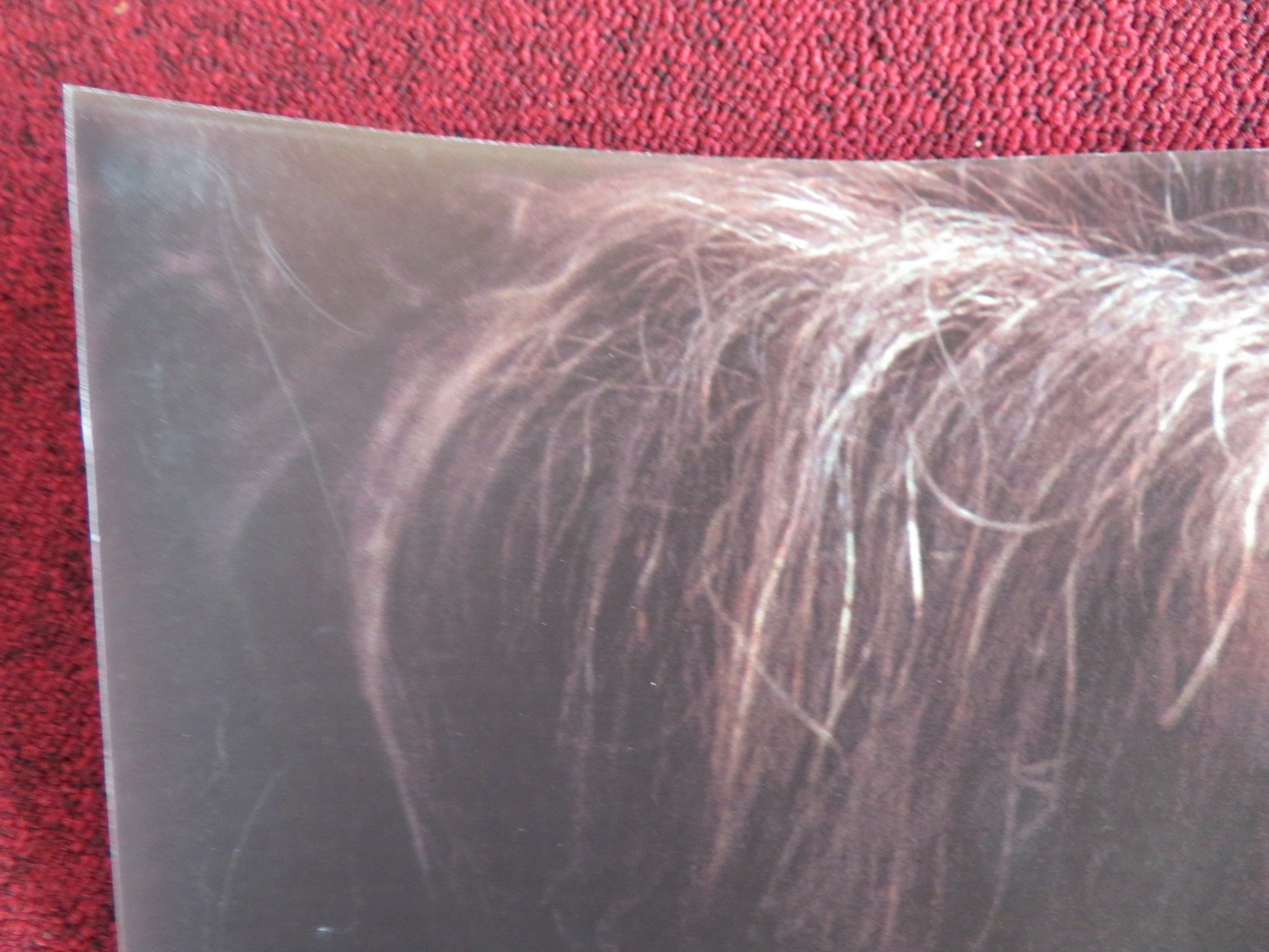 HANNAH ARENDT UK QUAD (30"x 40") ROLLED POSTER BARBARA SUKOWA JANET MCTEER 2012 Rendezvous Cinema Movie posters