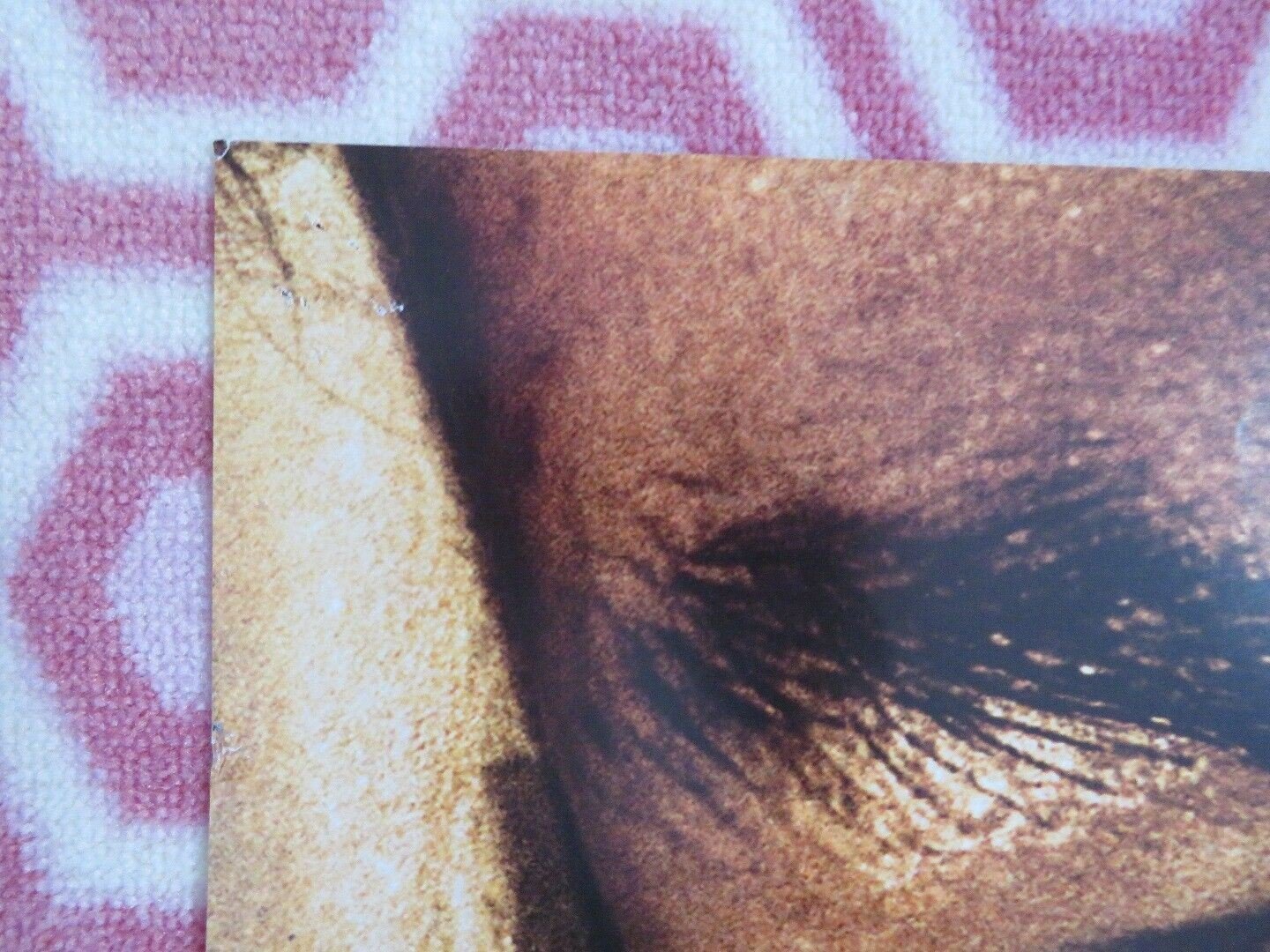 HANNIBAL RISING ONE SHEET POSTER FOLDED LECKTOR LECTER ANTHONY HOPKINS 2007 Rendezvous Cinema Movie posters