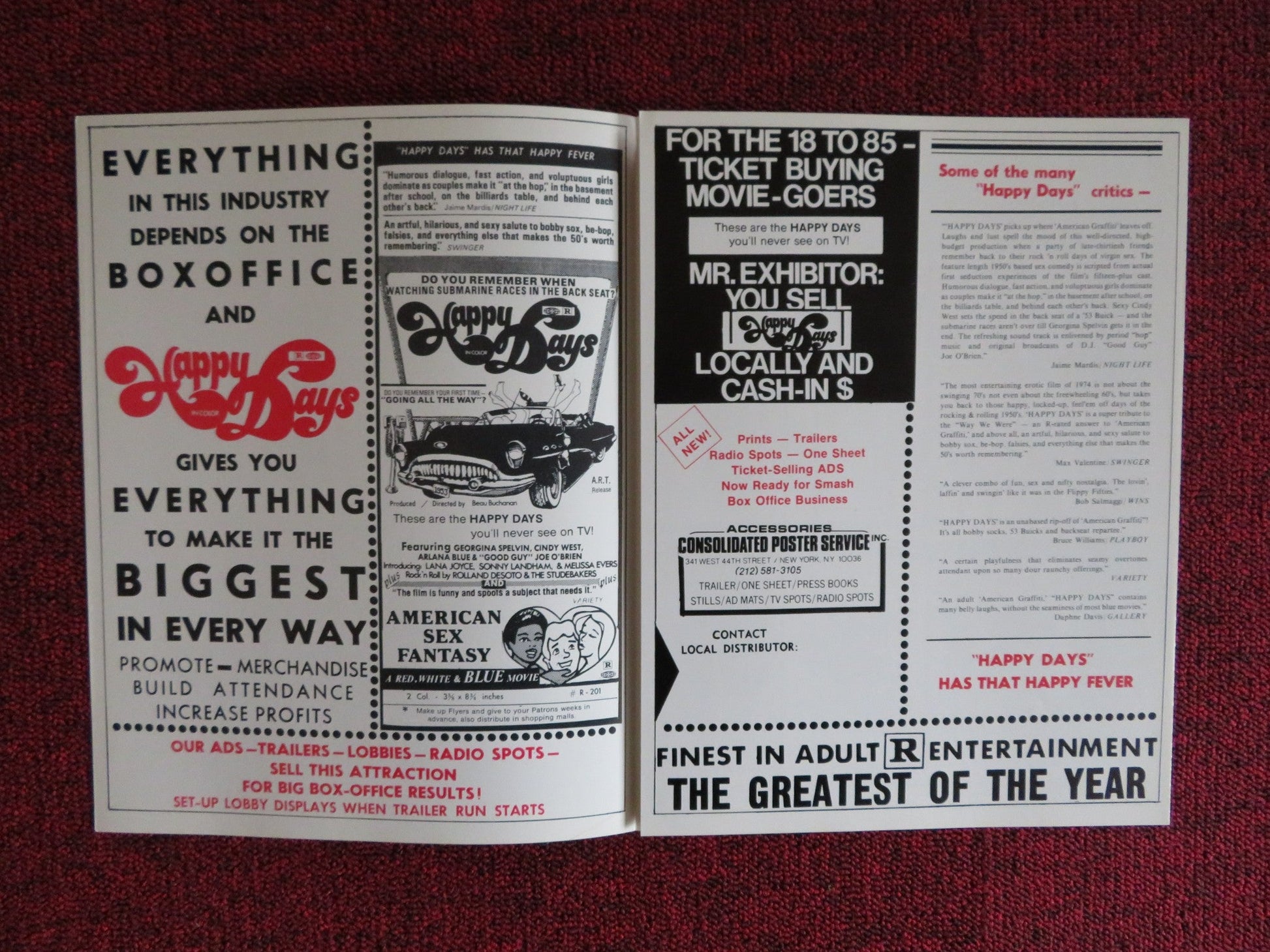 HAPPY DAYS UNCUT - US PRESSBOOK CINDY WEST JOE O'BRIEN 1974 Rendezvous Cinema Movie posters