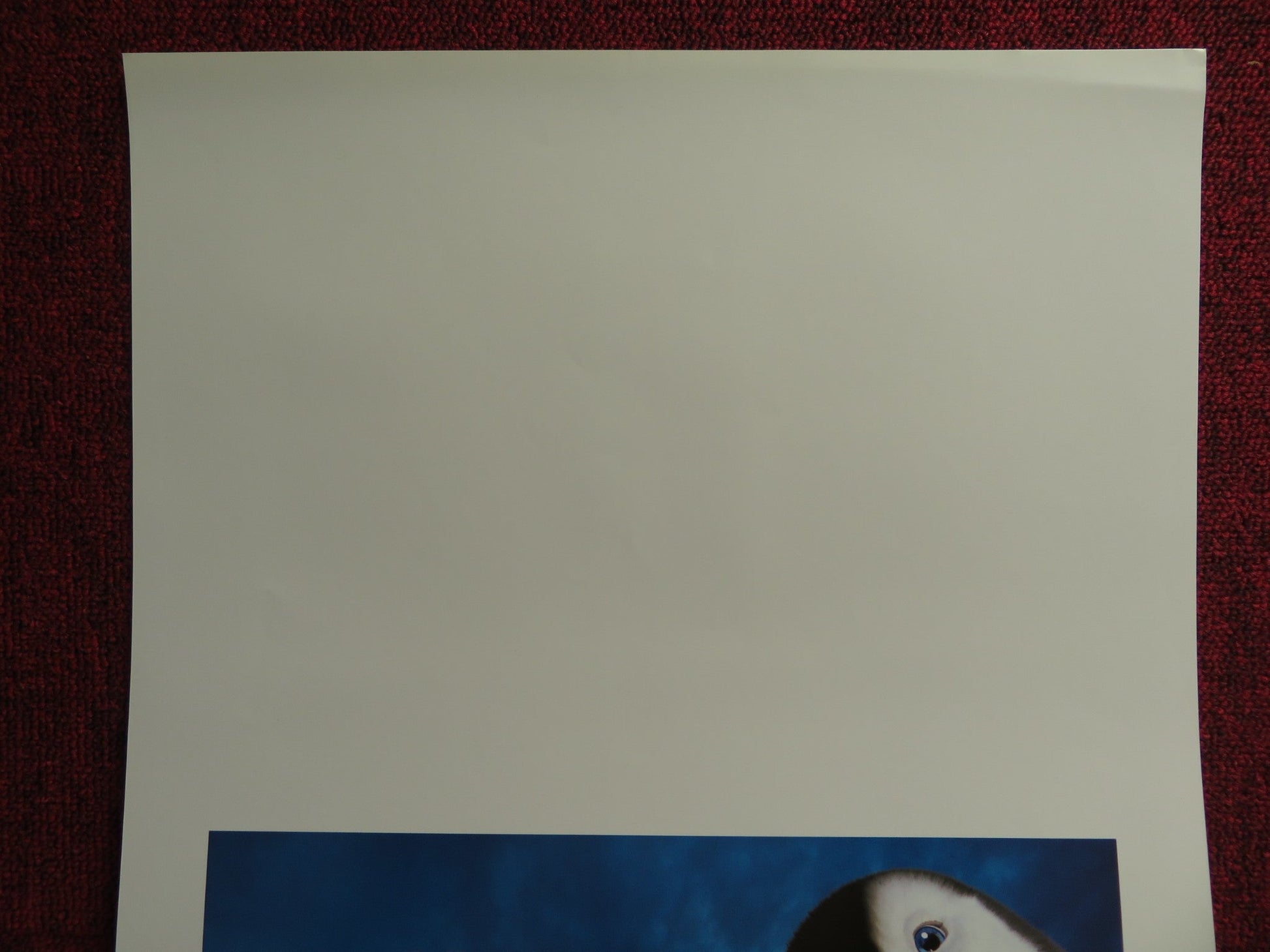 HAPPY FEET TWO ITALIAN LOCANDINA POSTER ELIJAH WOOD HANK AZARIA 2011 Rendezvous Cinema Movie posters