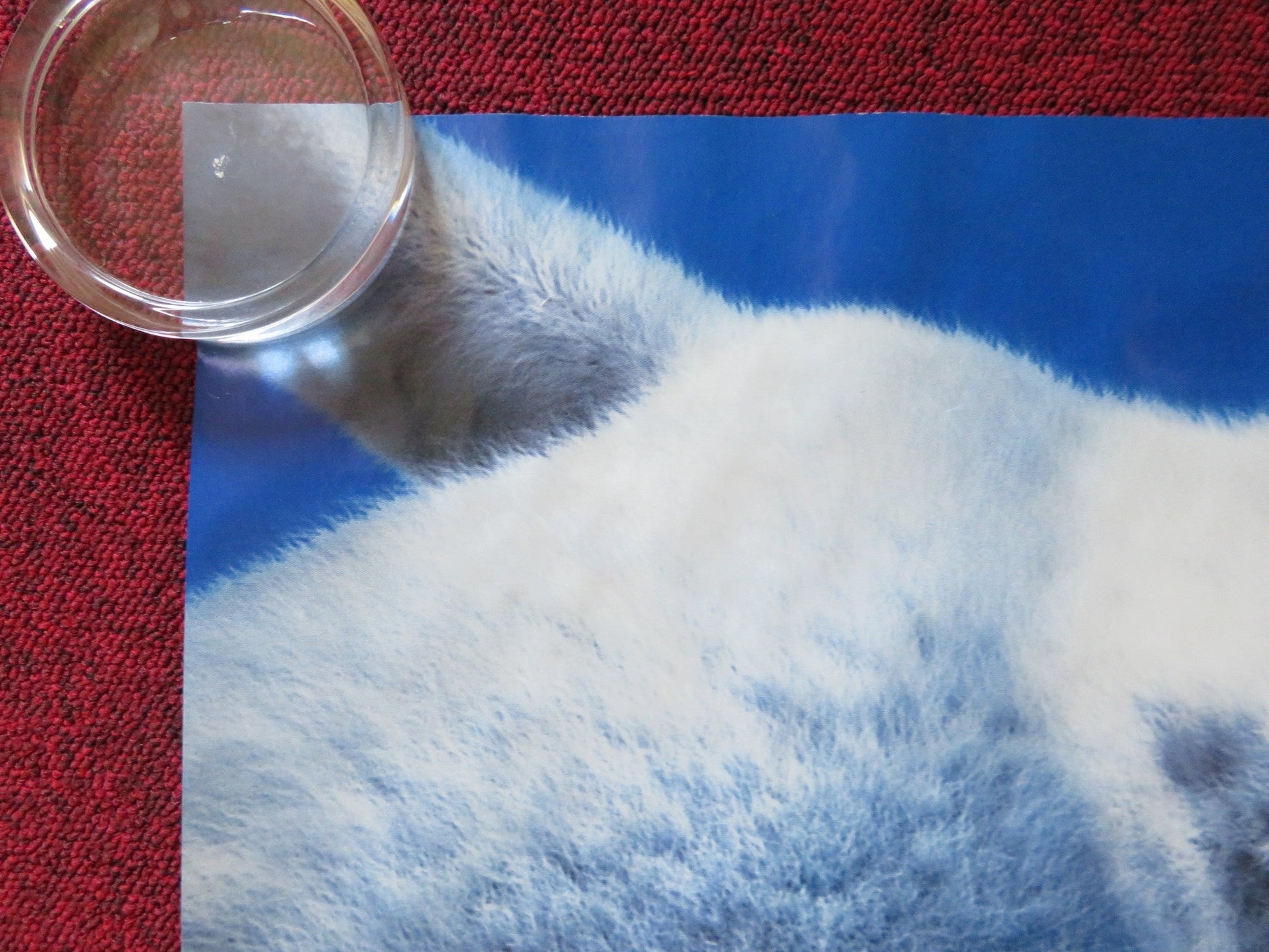 HAPPY FEET UK QUAD (30"x 40") ROLLED POSTER ELIJAH WOOD ROBIN WILLIAMS 2006 Rendezvous Cinema Movie posters