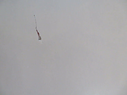 HARD COUNTRY FOLDED US ONE SHEET POSTER JAN - MICHAEL VINCENT 1981 Movie posters