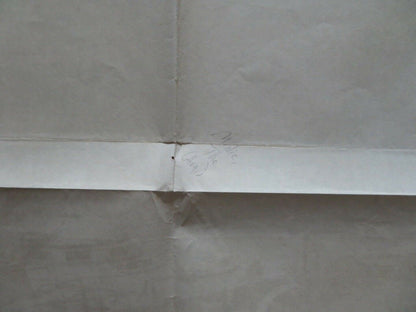 HARMONY LE TOUBIB / THE MEDIC ARGENTINA ONE SHEET FOLDED POSTER ALAIN DELON 1979 Movie posters