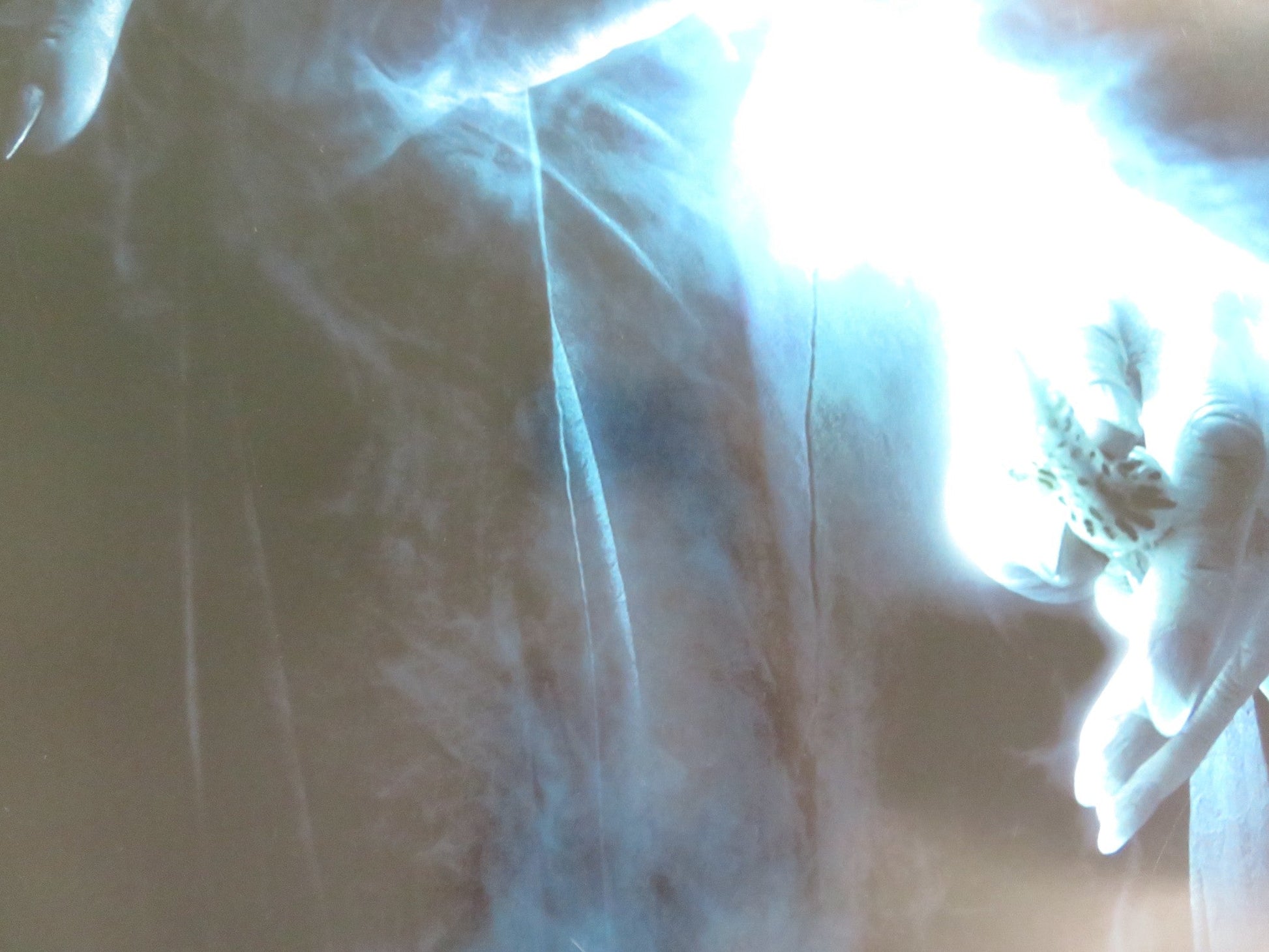 HARRY POTTER AND THE ORDER OF THE PHOENIX US ONE SHEET ROLLED POSTER 2007 Rendezvous Cinema Movie posters