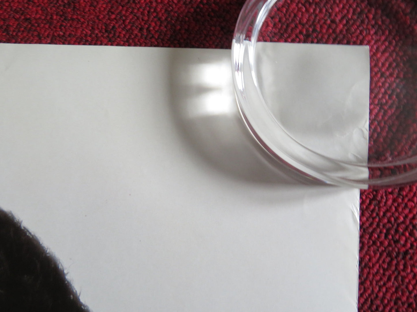 HAV PLENTY US ONE SHEET ROLLED POSTER CHENOA MAXWELL HILL HARPER 1998 Rendezvous Cinema Movie posters