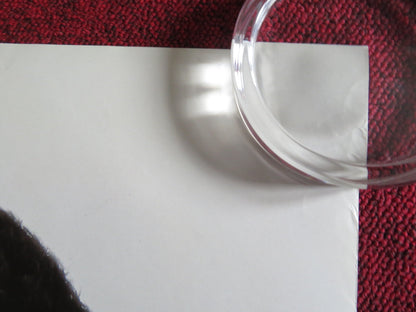 HAV PLENTY US ONE SHEET ROLLED POSTER CHENOA MAXWELL HILL HARPER 1998 Rendezvous Cinema Movie posters