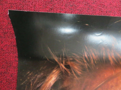 HAVANA US ONE SHEET ROLLED POSTER ROBERT REDFORD LENA OLIN 1990 Movie posters