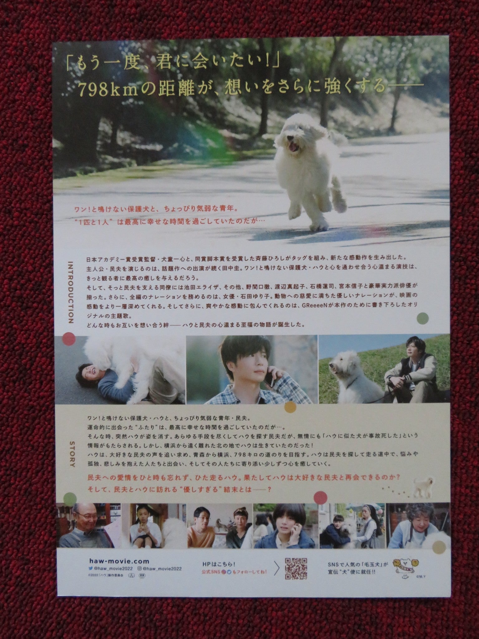 HAW JAPANESE CHIRASHI (B5) POSTER ELAIZA IKEDA RENJI ISHIBASHI 2022 Rendezvous Cinema Movie posters