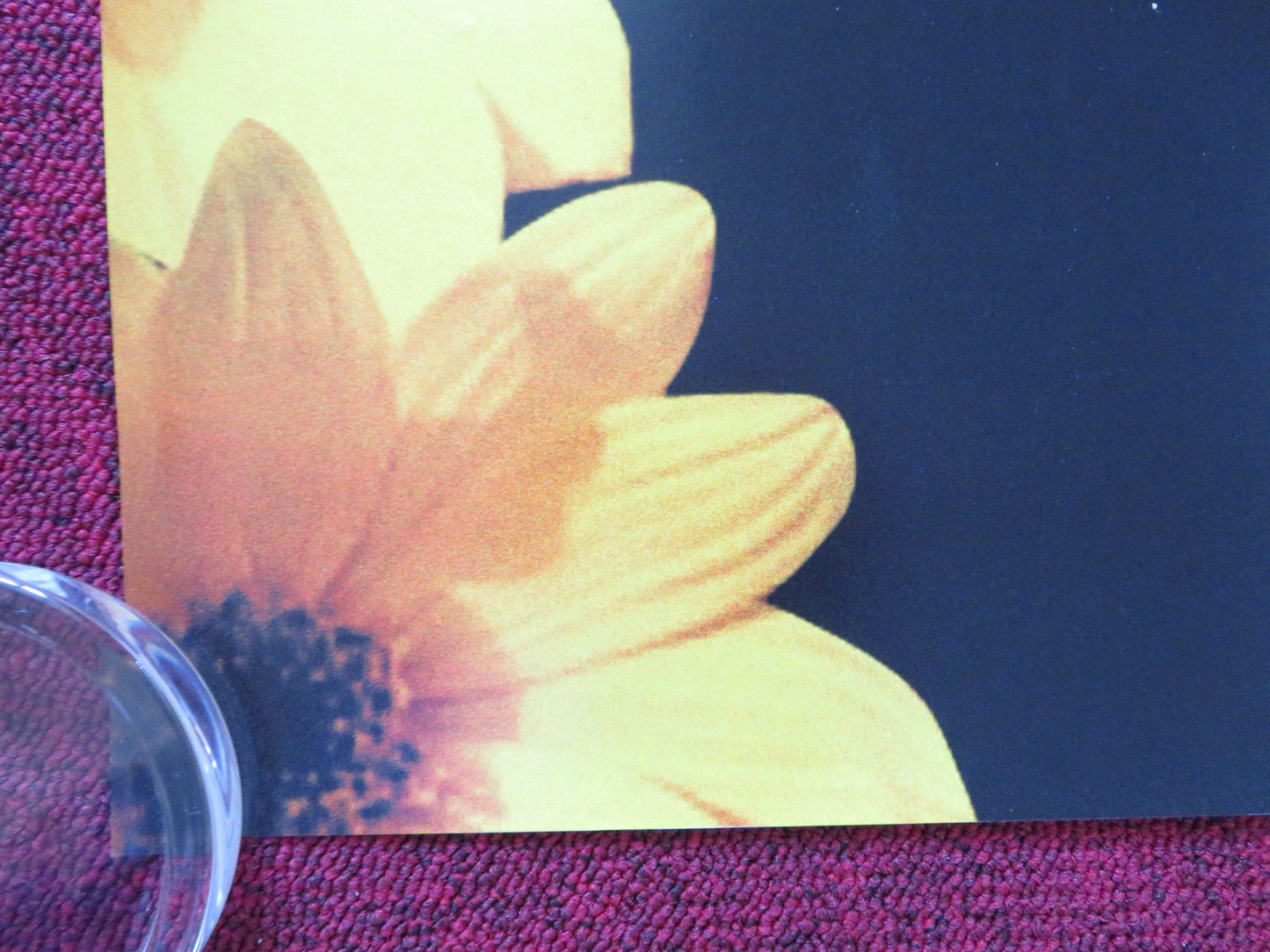 HE LOVES ME, HE LOVES ME NOT UK QUAD (30"x 40") ROLLED POSTER AUDREY TAUTOU 2002 Rendezvous Cinema Movie posters