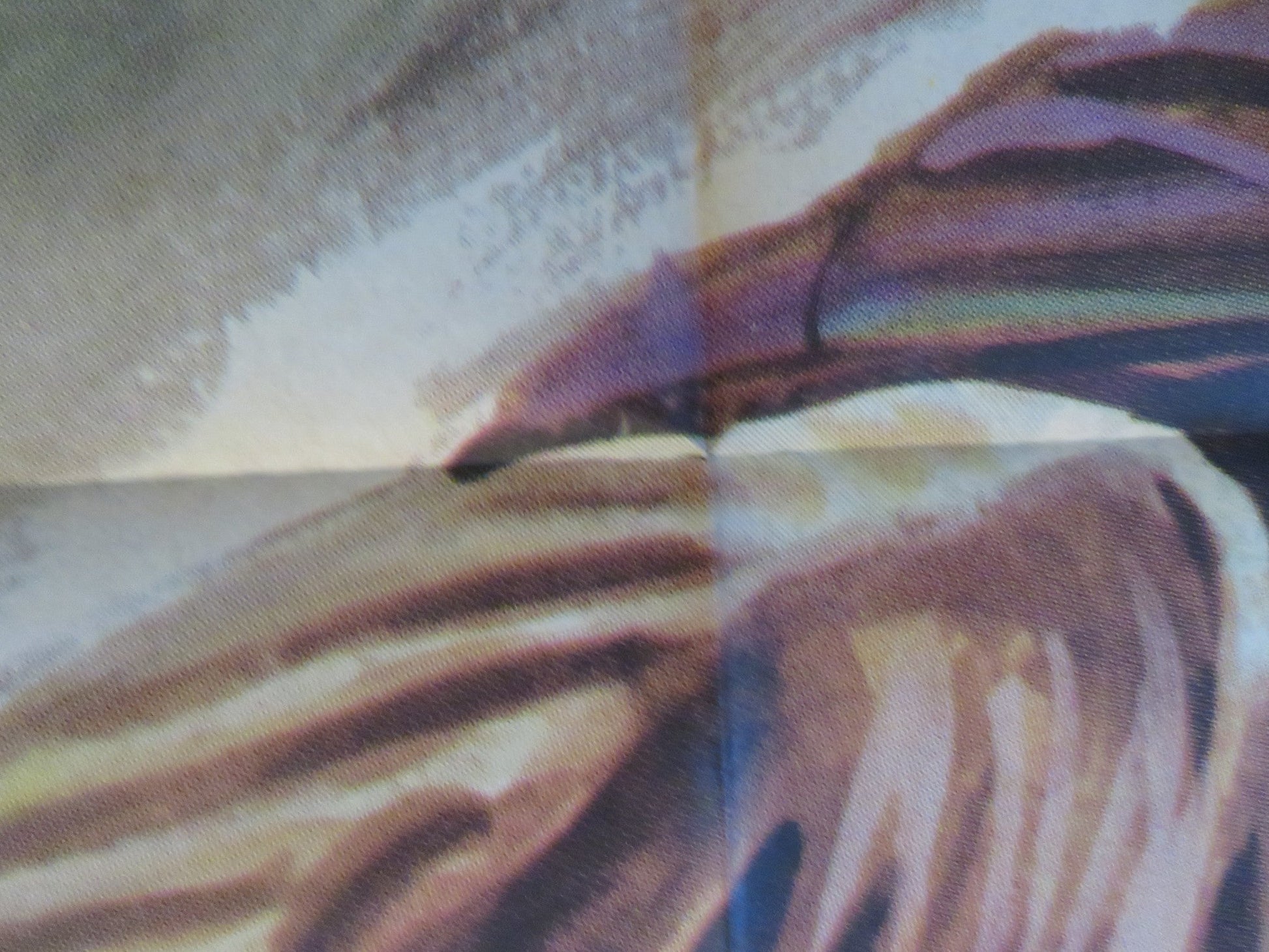 HE MURDERED HIS WIFE ITALIAN 2 FOGLIO POSTER LAKIS KOMNINOS DOROTHY MOORE 1974 Rendezvous Cinema Movie posters