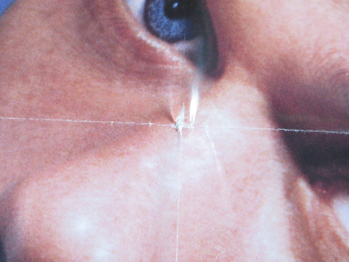 HE SAID, SHE SAID FOLDED US ONE SHEET POSTER KEVIN BACON ELIZABETH PERKINS 1991 Rendezvous Cinema Movie posters