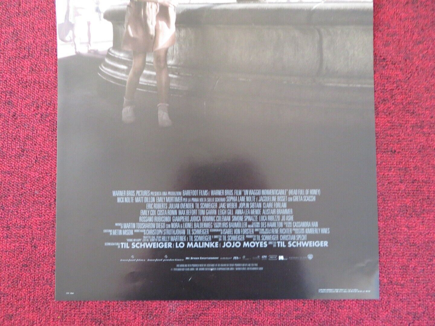 HEAD FULL OF HONEY ITALIAN LOCANDINA (26.5"x12.5") POSTER MATT DILLON 2018 Rendezvous Cinema Movie posters