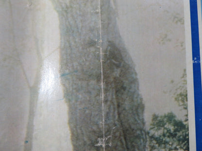 HEAVEN CAN WAIT - B ITALIAN FOTOBUSTA POSTER WARREN BEATTY JULIE CHRISTIE 1978 Rendezvous Cinema Movie posters