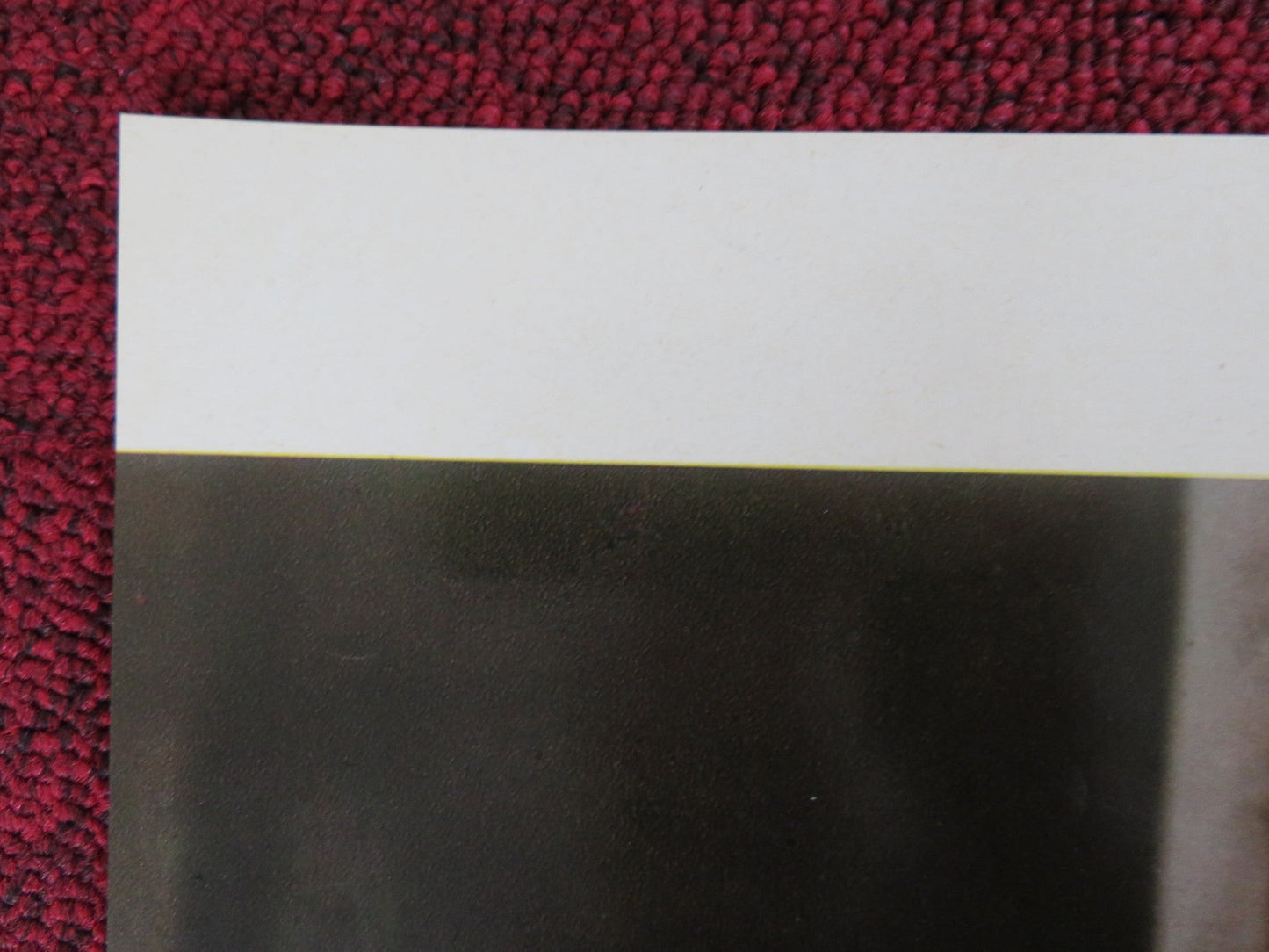 HELGA - D ITALIAN FOTOBUSTA POSTER RUTH GASSMAN ILSE ZIELSTORFF 1968 Rendezvous Cinema Movie posters