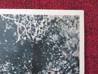 HELL BENT FOR LEATHER / DUELLO TRA LE ROCCE - A ITALIAN FOTOBUSTA POSTER 1960 Movie posters