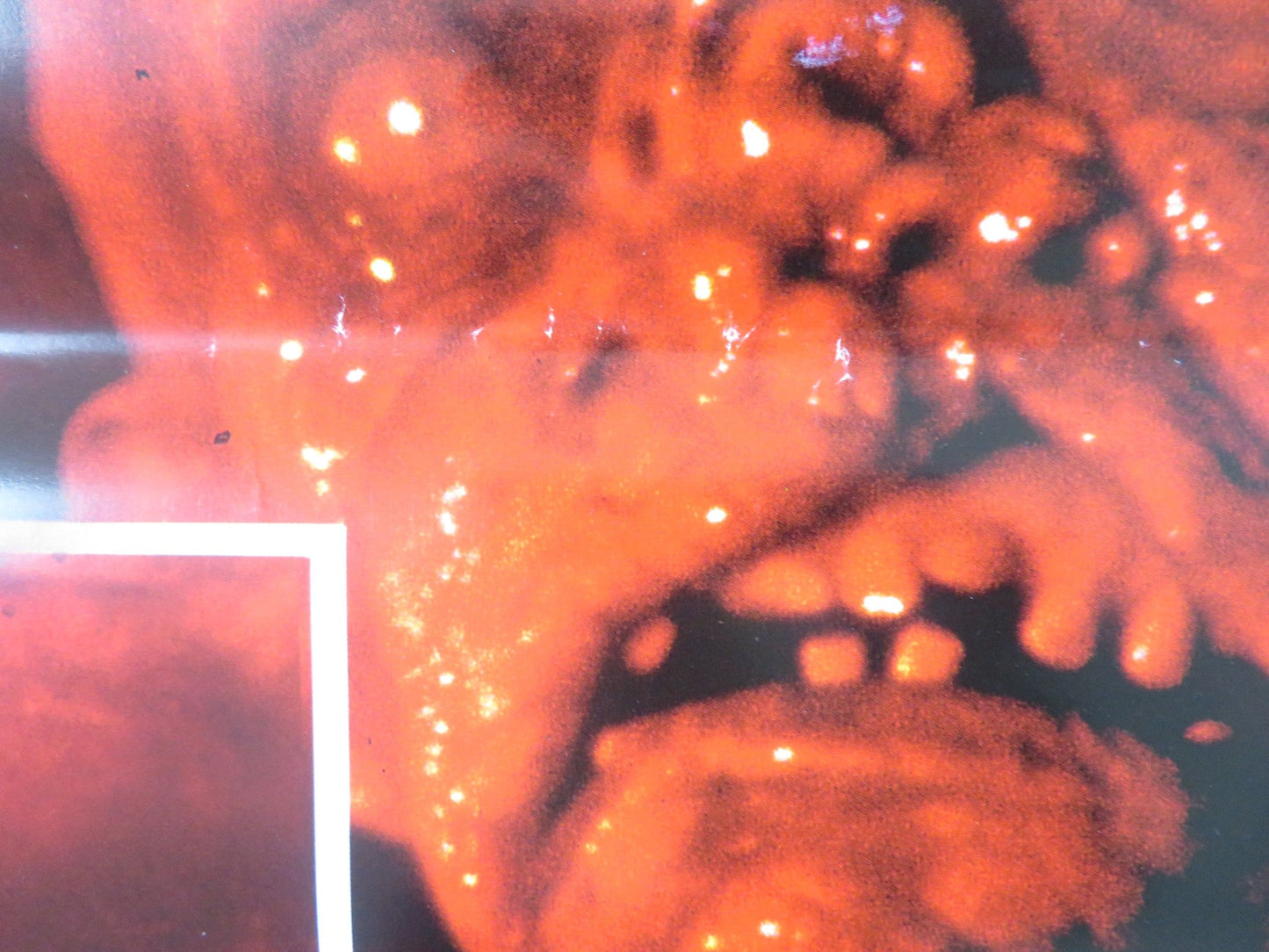 HEMOGLOBIN ITALIAN LOCANDINA POSTER RUTGER HAUER ROY DUPUIS 1997 Rendezvous Cinema Movie posters