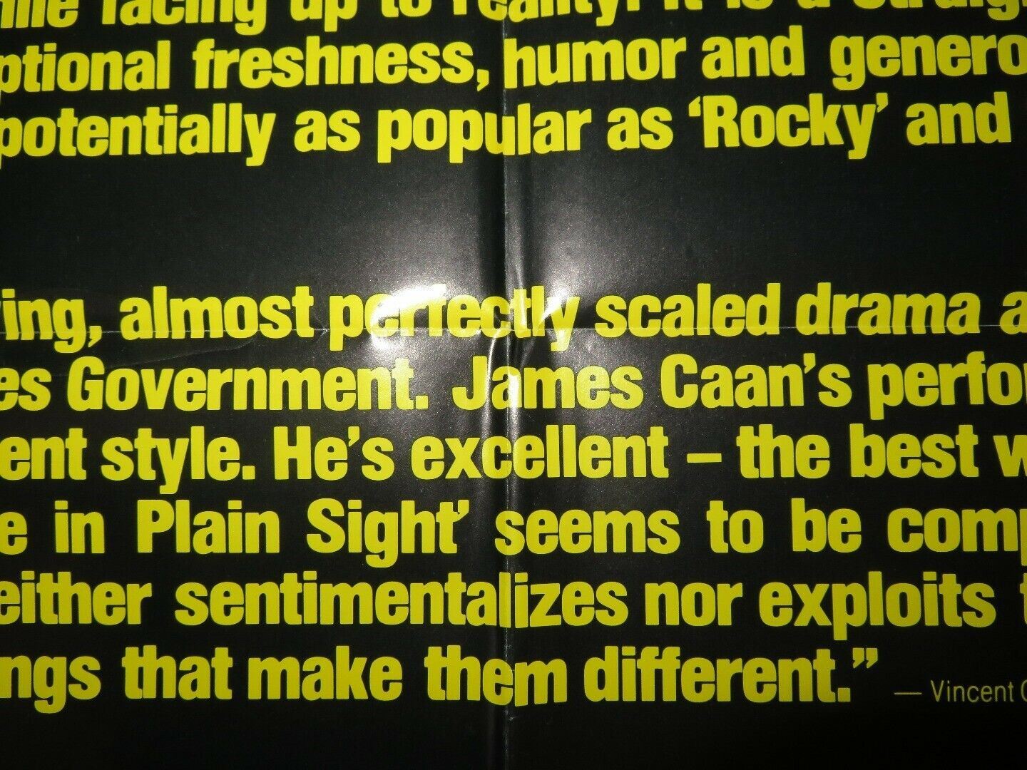 HIDE IN PLAIN SIGHT US ONE SHEET POSTER JAMES CAAN JILL EIKENBERRY Movie posters