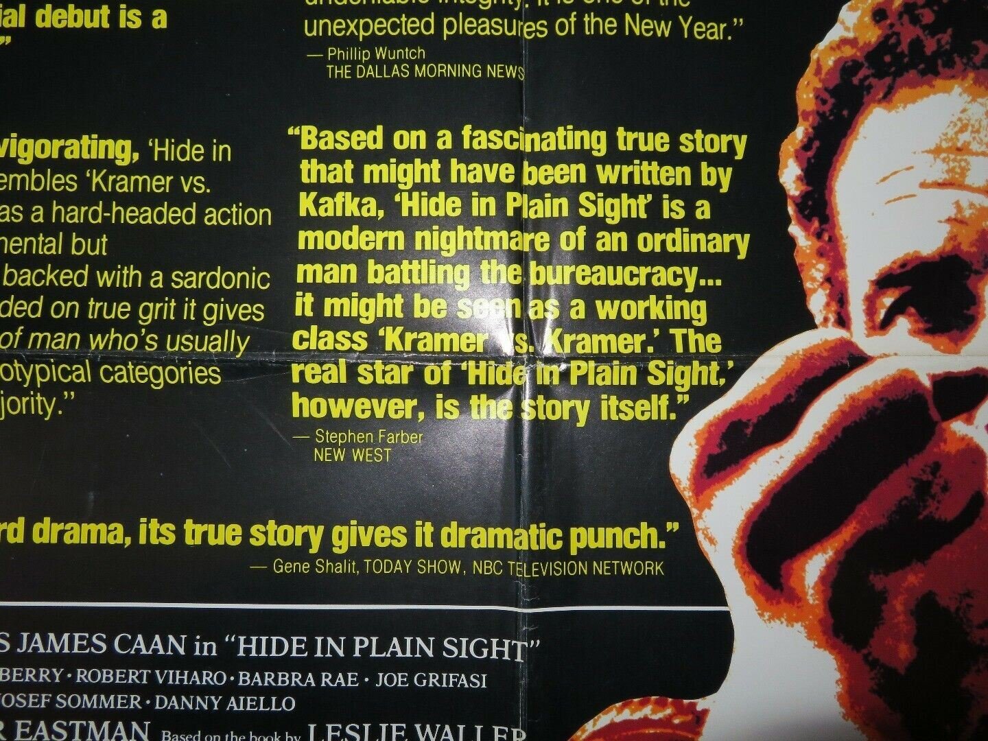 HIDE IN PLAIN SIGHT US ONE SHEET POSTER JAMES CAAN JILL EIKENBERRY Movie posters