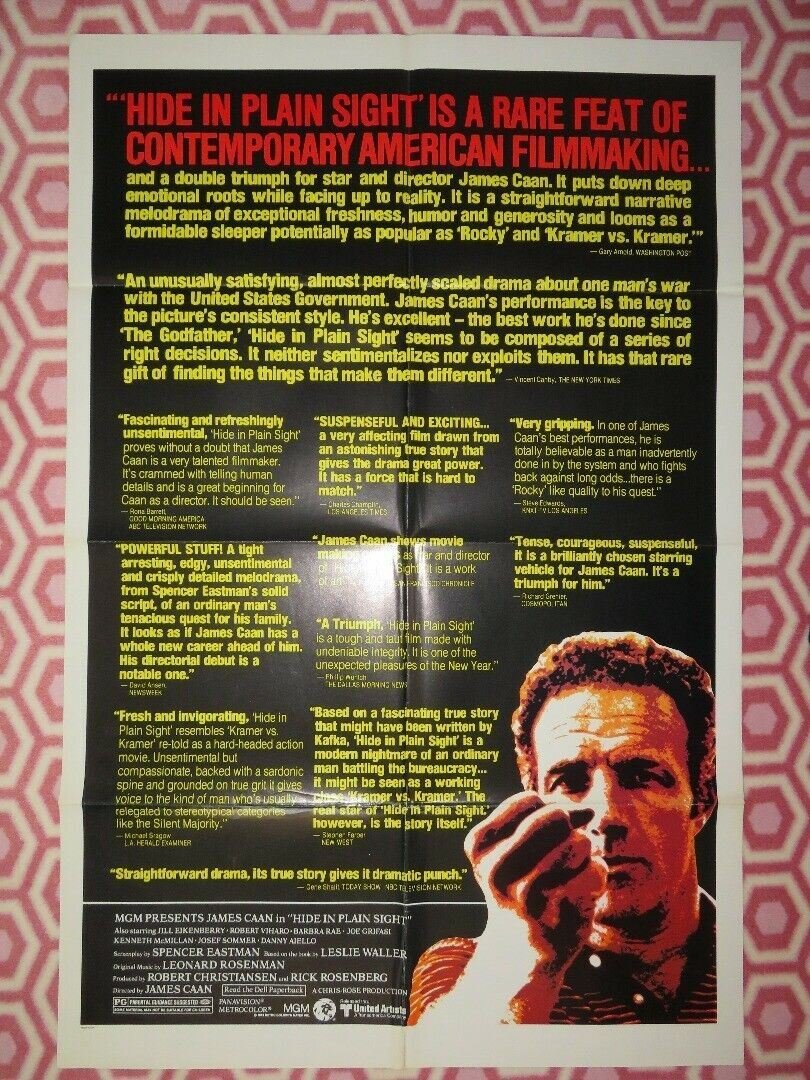 HIDE IN PLAIN SIGHT US ONE SHEET POSTER JAMES CAAN JILL EIKENBERRY Movie posters