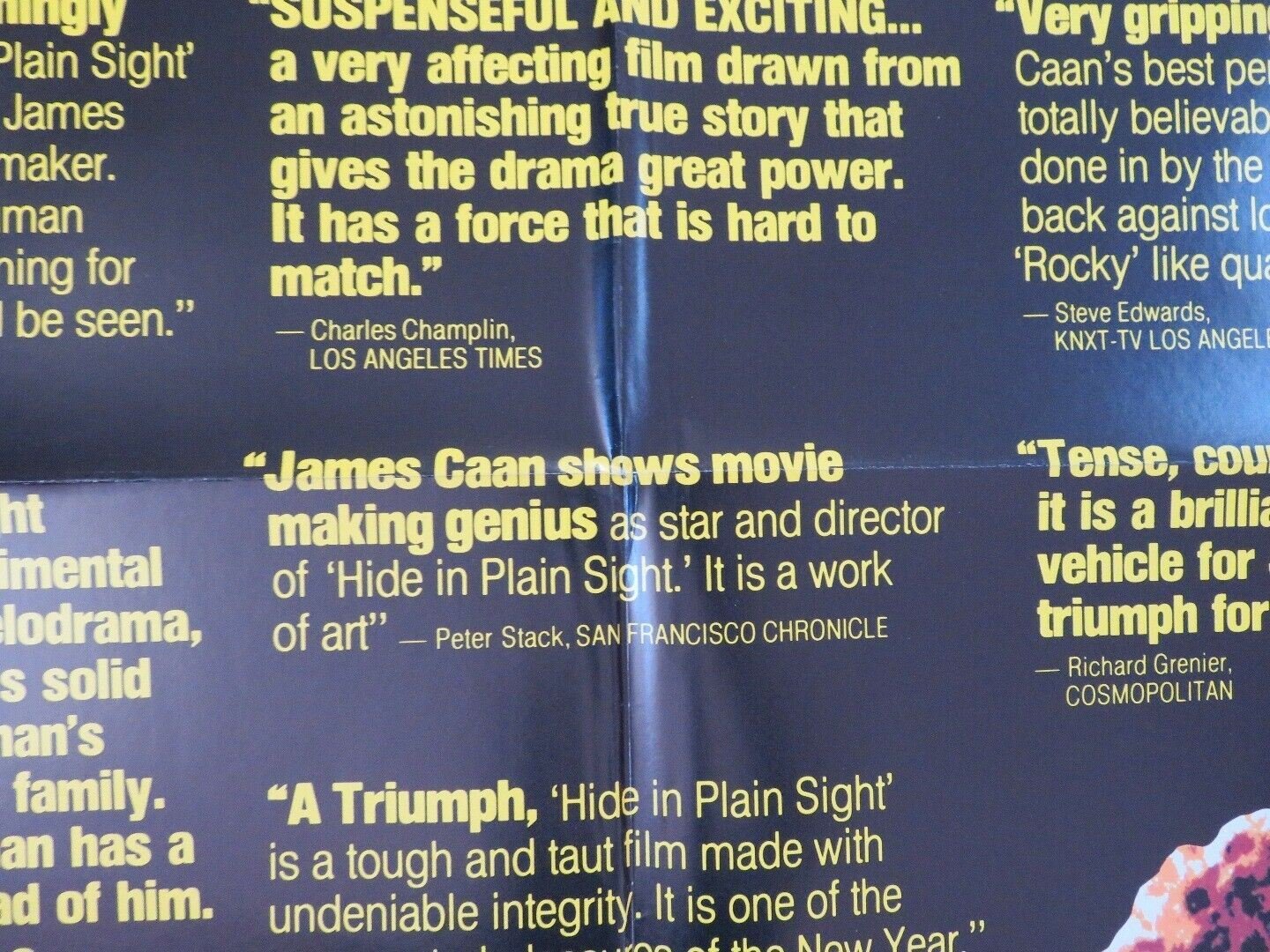 HIDE IN PLAIN SIGHT US ONE SHEET POSTER JAMES CAAN JILL EIKENBERRY Movie posters