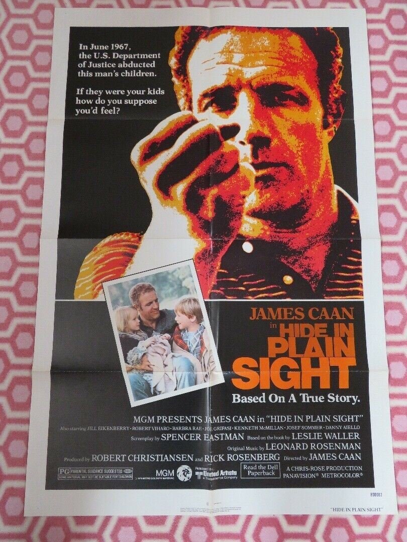 HIDE IN PLAIN SIGHT US ORIGINAL ONE SHEET POSTER JAMES CAAN AIELLO Movie posters